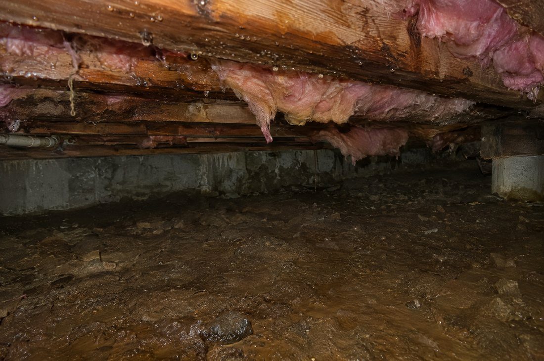 Damp Charlotte crawl space with condensation and moisture on the joists